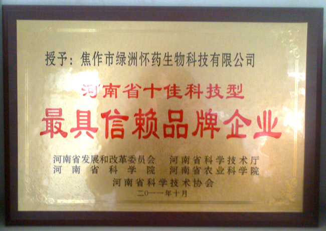 十佳最具品牌企业