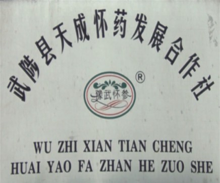 武陟县天成怀药发展合作社