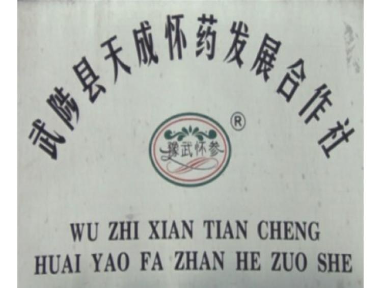 武陟县天成怀药发展合作社