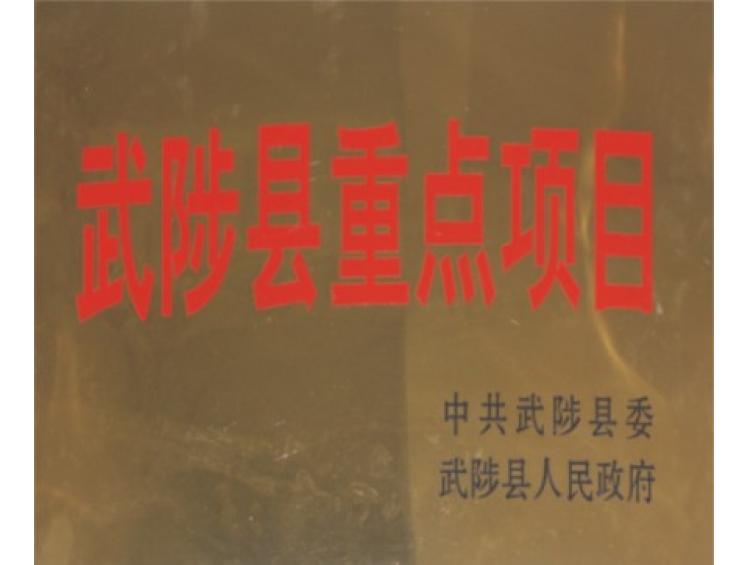 武陟县重点项目