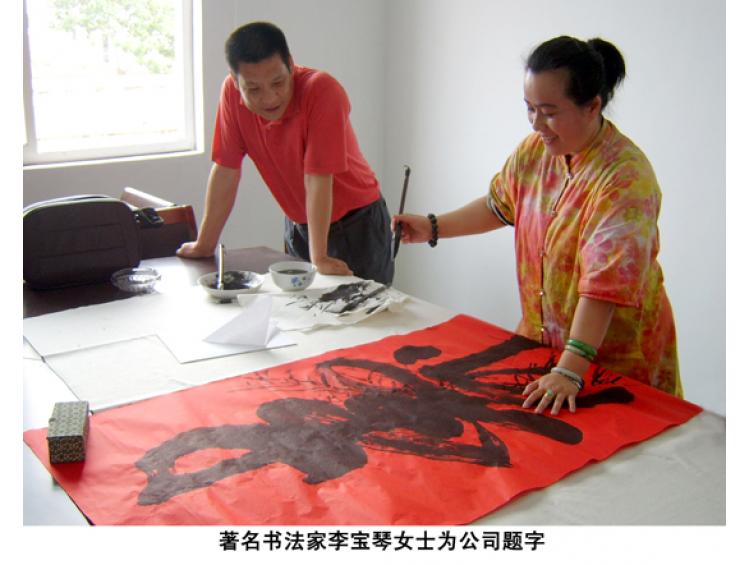 著名书法家李宝琴为公司题词
