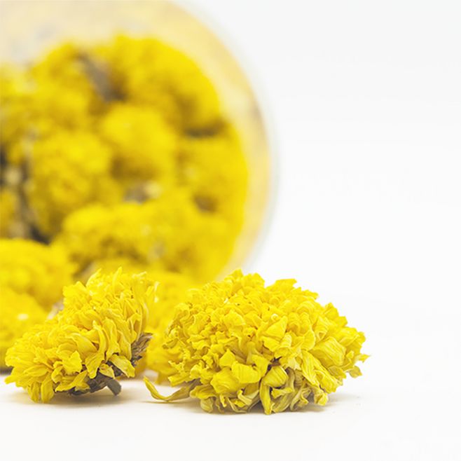 怀菊花.jpg