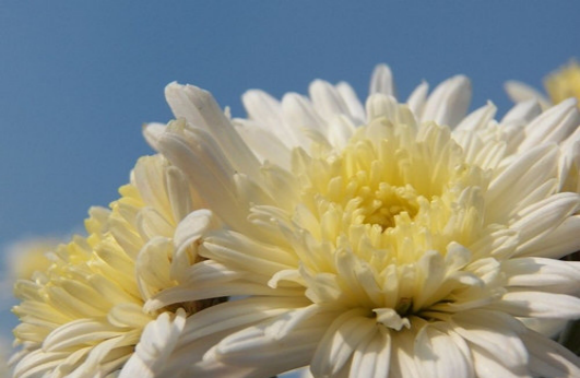 1539995112419146.png 图片1.png