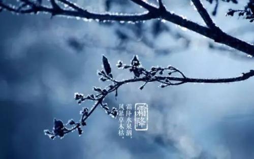 霜降节气养生原则