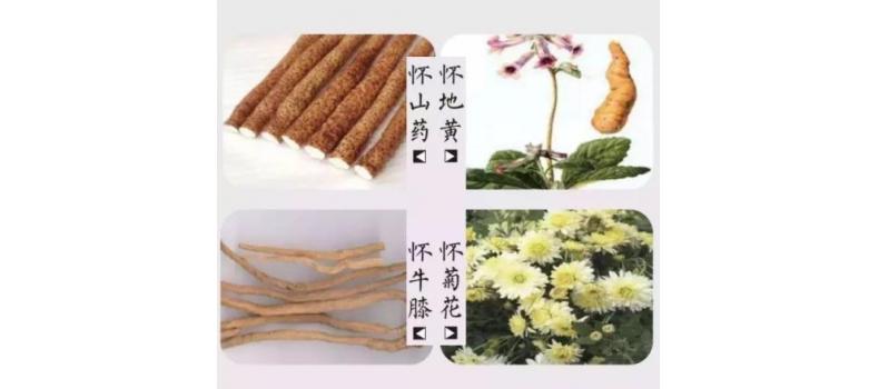 怀川名片-四大怀药